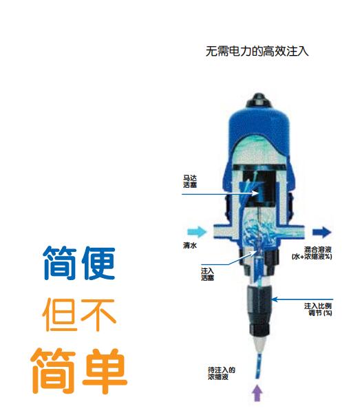 法國多壽-1.jpg